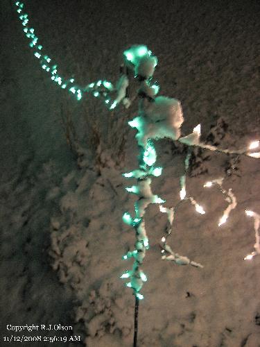 Fresh snow/ice on lights - I love the freshly fallen snow and ice on my Holiday lights. Just something mesmerizing about it.