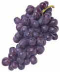 Delicious grapes - Image of some delicious grapes.