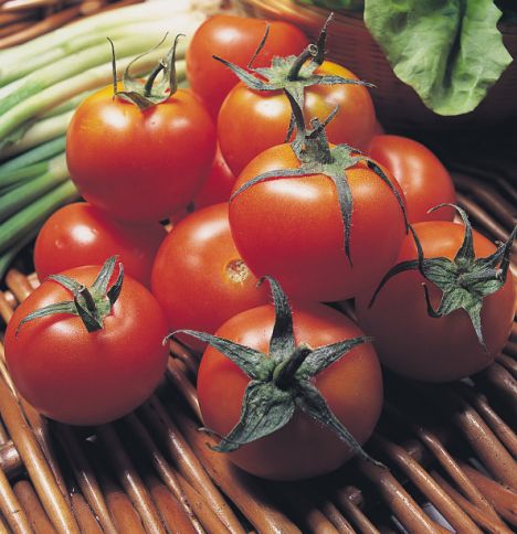 Tomatoes - Experts say a tomato a day, 8oz of tomato juice,150g of pasta sauce or one lycopene tablet a day is enough to raise levels of lycopene in the blood.
