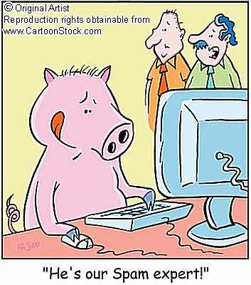 Spam experts - The filters are a really good invention for preventing junk mail from flooding your mail box.