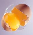egg - i like egg
