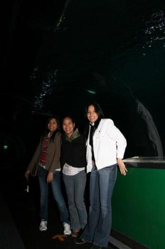 COEX Aquarium at Korea - This picture taken when we're at the COEX aquarium in korea, this experience was so fun, The other two ladies are my officemates, we're being invited by the head office to attend workshop then after that we roam around and explore the city..