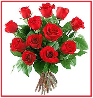 12 roses - 12 on behalf of the roses - to the growing love you! 