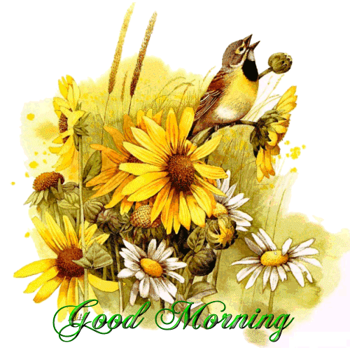 Good Morninng - Hello Good Morning to All