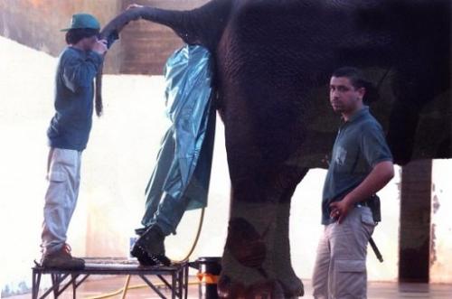 Still Compalining about your Job? - Anybody who is doing such hard jobs?