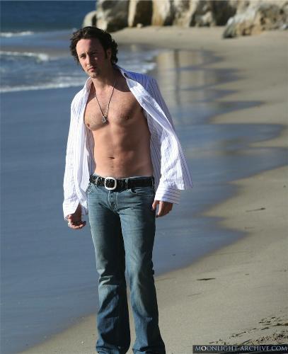 Alex O'loughlin in Moonlight - a pic from Moonlight of Alex O'Loughlin as Mick St John one of my fave shots.