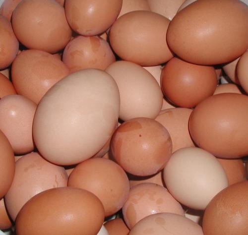 Eggs - You need more?