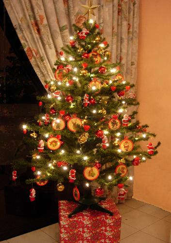 My Christmas Tree - The tree I put up last Christmas in my living room.