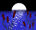 Full Moon Over myLot!!! - I wonder if there's not a full moon hanging over myLot???