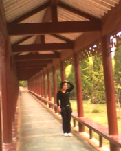 corridor - In China ,there so many corridor like this.