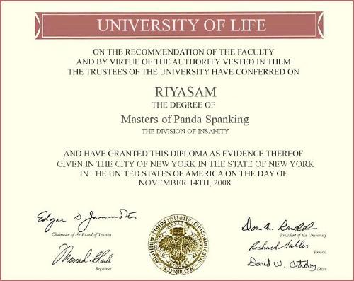 Panda Spanking Diploma - Awarded to riyasam for achieving Top 10 status as a Panda Spanker!