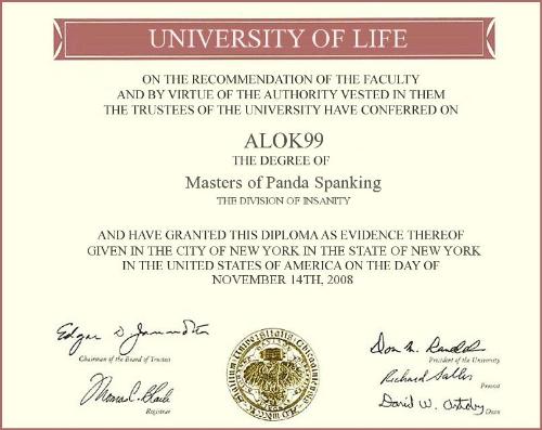 Panda Spanking Diploma - Awarded to alok for achieving Top 10 status in Panda Spanking!