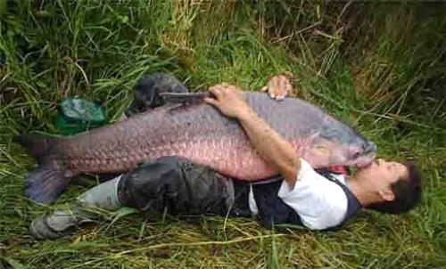 What on earth is this?? - seems this guy really loves his pet....