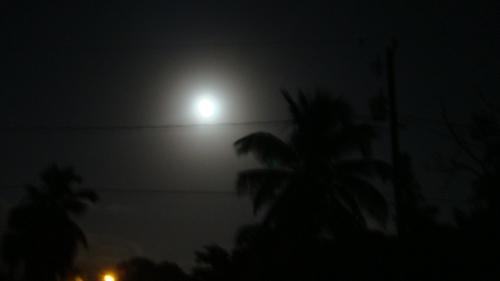 Moon - This is a picture I took of the moon when it was brightly shining one night.