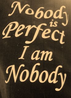 Nobody is Perfect - Practice makes Perfect, Nobody is Perfect, so, Why Practice...?? Is there anyone Perfect..???