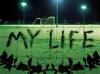 life posative - posative life changes