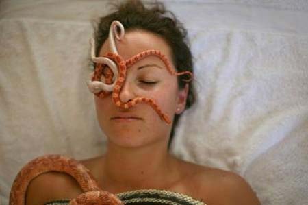 Snake Massage... - Snake Massage... 