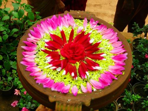 petals - Flower made by flower petals!