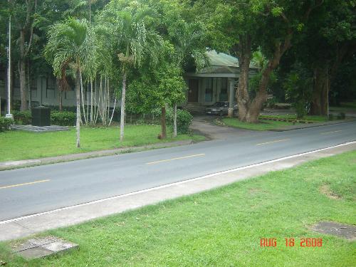 To Animal Science - The road going to Animal Science, within the ROTC building