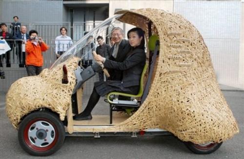 Bamboo Car - This is an electric car made in Kyoto, Japan on November 14, 2008. It is eco-friendly and can hold up to 30 miles on a single charge.