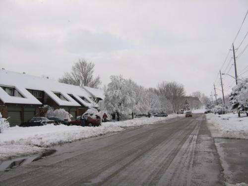 Nov. 14/08 snowfall - Here is the street after the eight inches of snow fell last night.