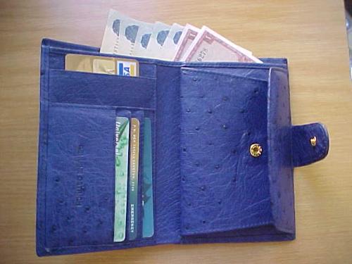 Wallet - Blue Wallet