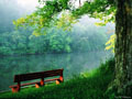 Nature - Natural Beauty