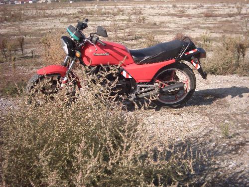 Kawasaki GPZ 400 model on field 5 - This is the last photo i have of my dad's future ex motorbike if i may say so as he will be selling it really soon.