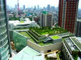 Roof Top Gardens - Is it feasible in Singapore? With the many tall building and little arable land, it may be more feasible than originally thought.