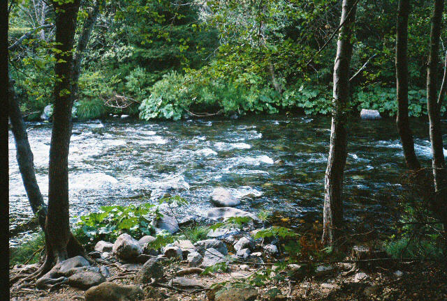 The Riverwalk - So refreshing, So relaxing!  Sacramento River, Dunsmuir City Park Dunsmuir, CA