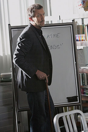 Dr Greg House - from the Fox TV show House, starring Hugh Laurie as Greg House, MD