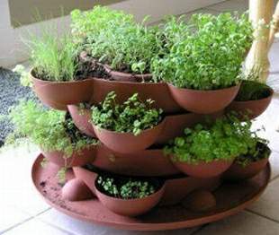 Herb Garden - This is a picture of a herb garden that I one day would love to have.