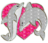 Dolphins - Dolphins