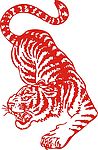 tiger - What a beautiful tiger