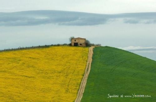 Landscape - Interesting and a very beautiful landscape picture