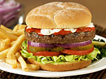 Hamburger - A snapshot of one of the most popular food in the world today.