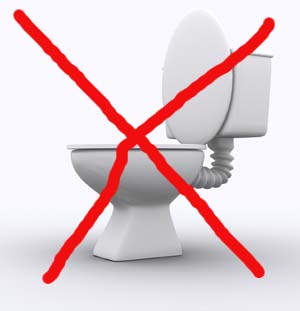 Unsustainable -  'The concept of the flushing toilet was unsustainable.'