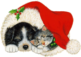 Christmas, cute cat and dog - Christmas hat of cute cat and dog sharing .