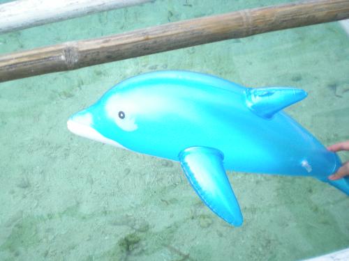 we saw a dolphin! - okay, okay! it's plastic! lol