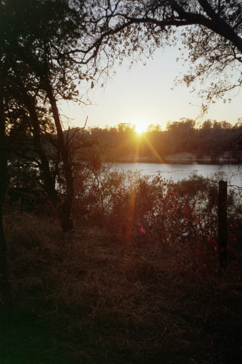 Beautiful Sunset! - Lake Natoma