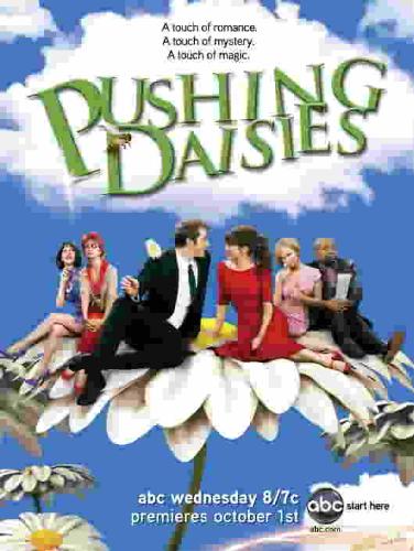 Pushing Daisies Pushing Daisies Pushing Daisies  - Pushing Daisies Pushing Daisies Pushing Daisies Pushing Daisies Pushing Daisies 