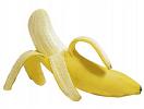 Banana - picture of banana