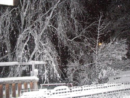 Winter scene 2008 - This is a picture of all the snow we received in one night after a heavy snowfall...the first of the season, and a part of winter in Ontario, Canada. What are your winters like and where do you live?