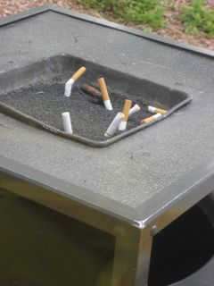One Person's Trash is Another's Opportunity - Would you smoke these?