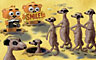Meerkat Badge - Here is the meerkat badge from Majong safari