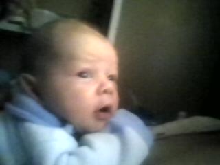 Dalton @ 5 weeks old - Dalton is our newest addition to our family. He was born 10/7/08.