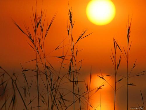 Landscape - Sun and water