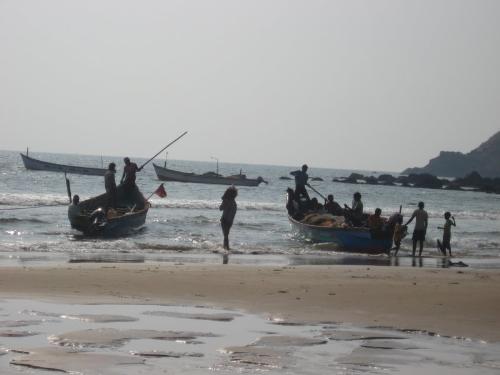 Fishing - Fisherman coming back from fishing in the sea