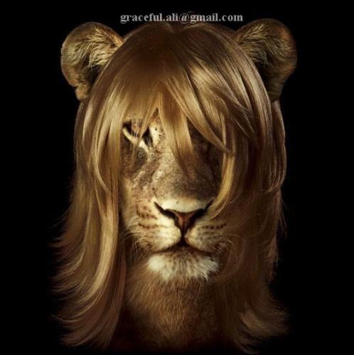 Lion girl - Image of Lion girl really a good art of imaging