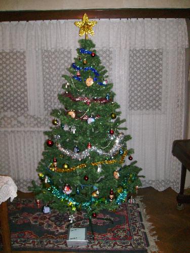 My Christmas tree this year with first gift under  - My Christmas tree this year with first gift under it, well actually it's my girlfriend's tree, and the present it's from me to her.
